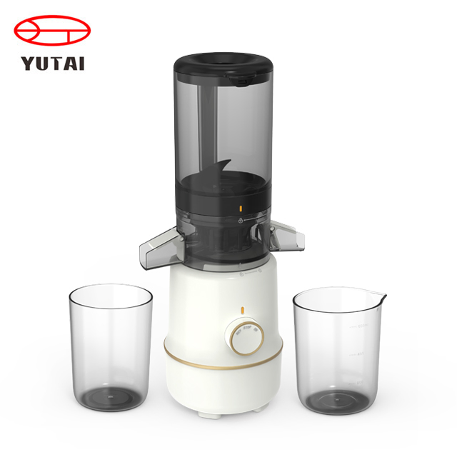 Professional Electric Automatic Slow Masticating Mango Orange Fruit Juicer Machine Juice Extractor