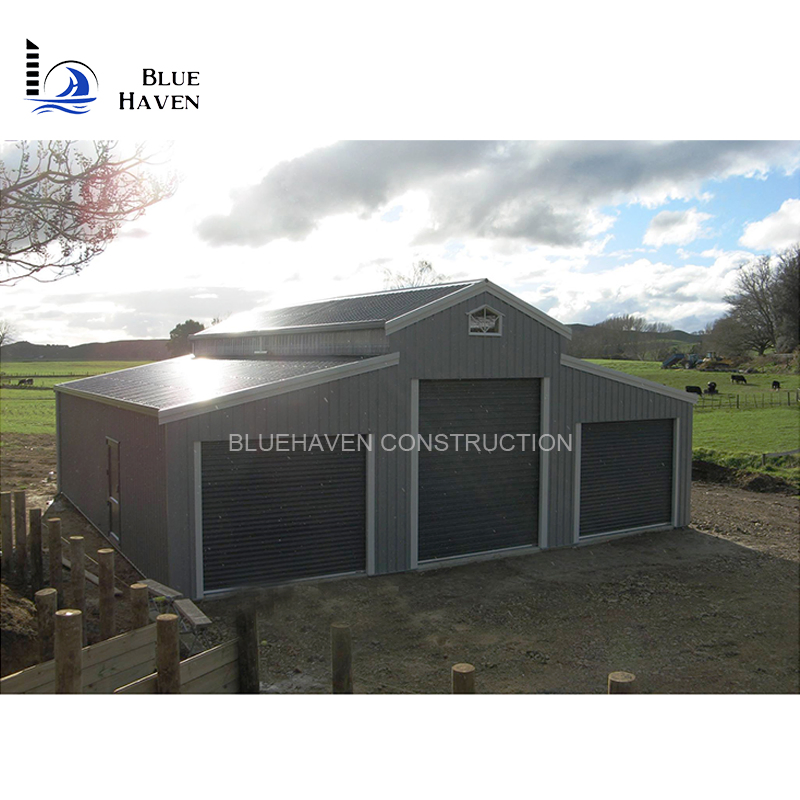 Prefabricated Steel Frame Garage Storage Shed with Door