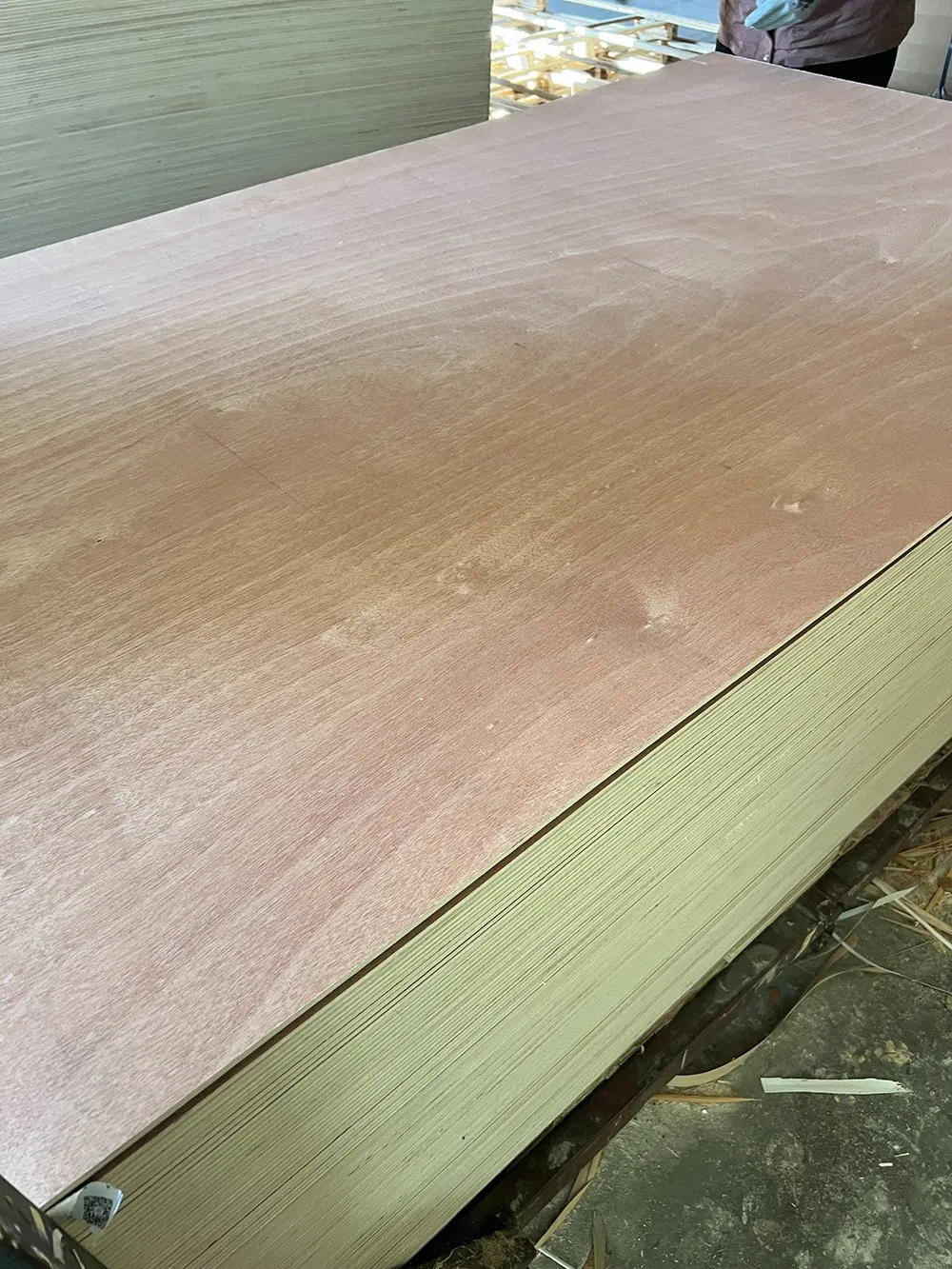 4'x8' Commercial Grade Okoume Plywood at Wholesale Price