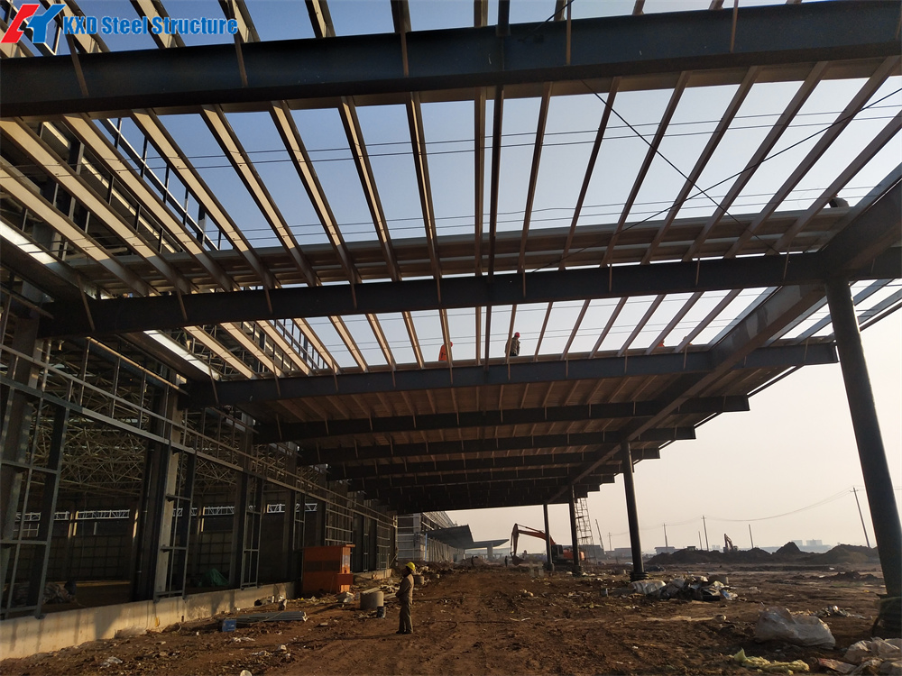 Prefabricated Farm Light Shed Structure Construction Steel Storage