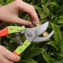 Tree Trimming Shears Scissors with Green Handle Gardening Pruning Secateurs
