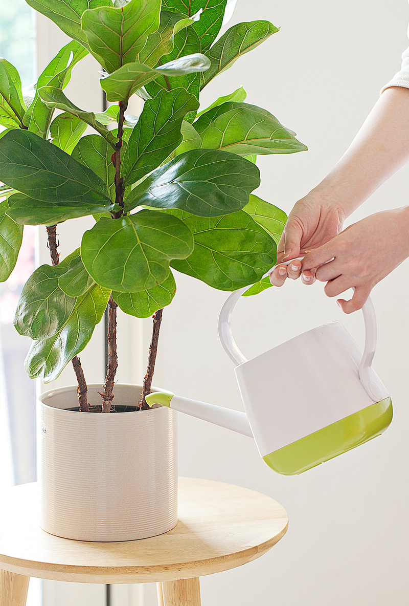 High Quality Plastic Watering Can for Greenhouse