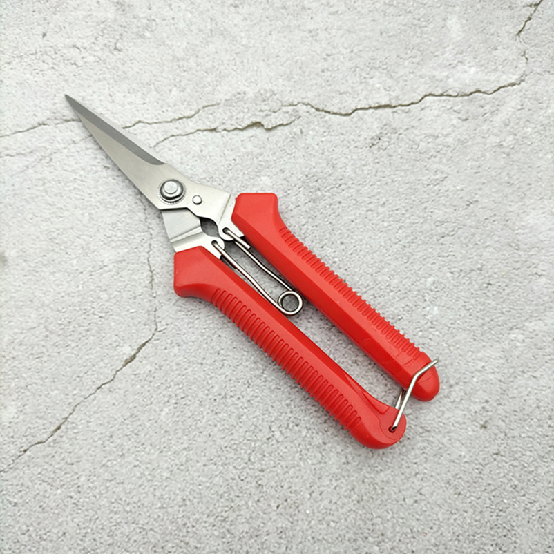 7.5" Wholesale Distributor Hot Sale Chicken Bone Scissors
