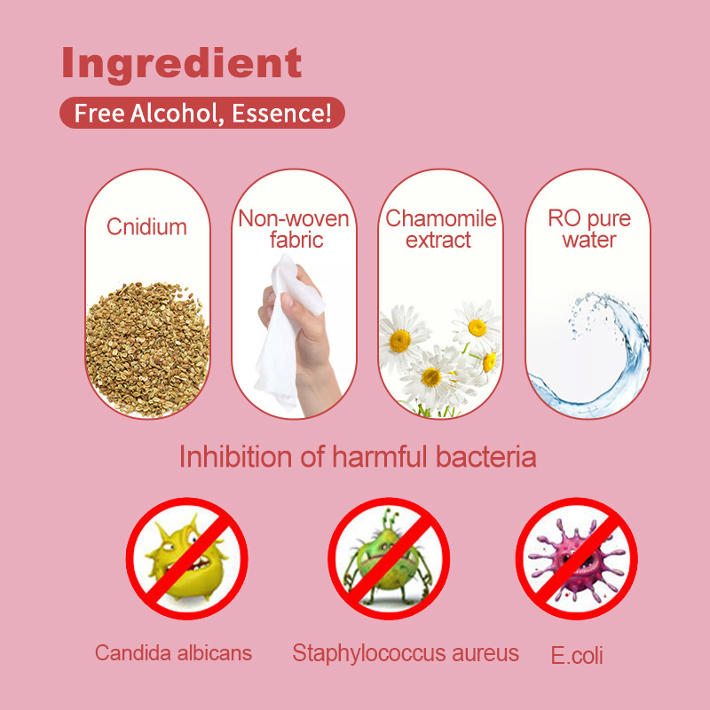 OEM Feminine Antibacterial Hygiene Fruit Flavor Personal Care Intimate Cleaning Wet Wipes