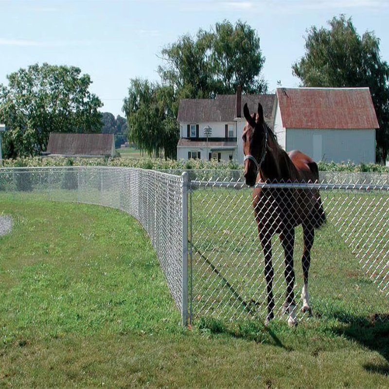 Сетка рабица с ПВХ покрытием для сада 50x50 мм