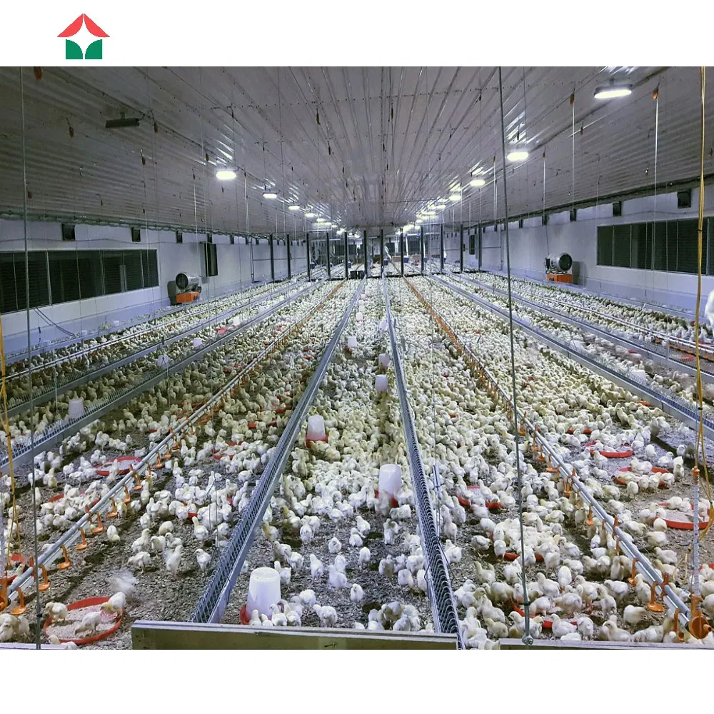 Customized Free Design Metal Frame Steel Construction Prefabricated Prefab Light Steel Structure/Chicken Sheds/Broiler Farm/Poultry Farm