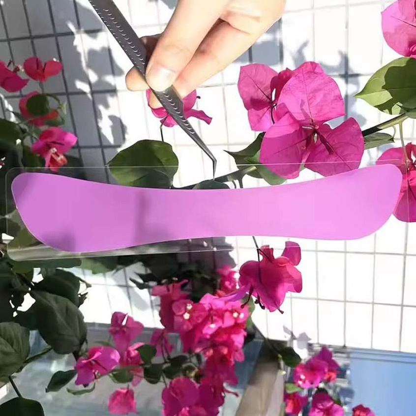 High Quality Wholesale Eyelashes Tools Eyelash Lift Silicone Eyebrow Stickers Perm Tools Lash Patches Lashlift Curlers Curl Pads