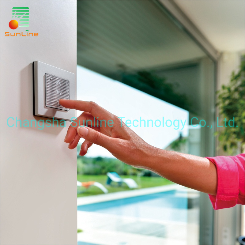 Aluminum Automatic Roller Rolling Shutter Window with Remote Tubular Motor