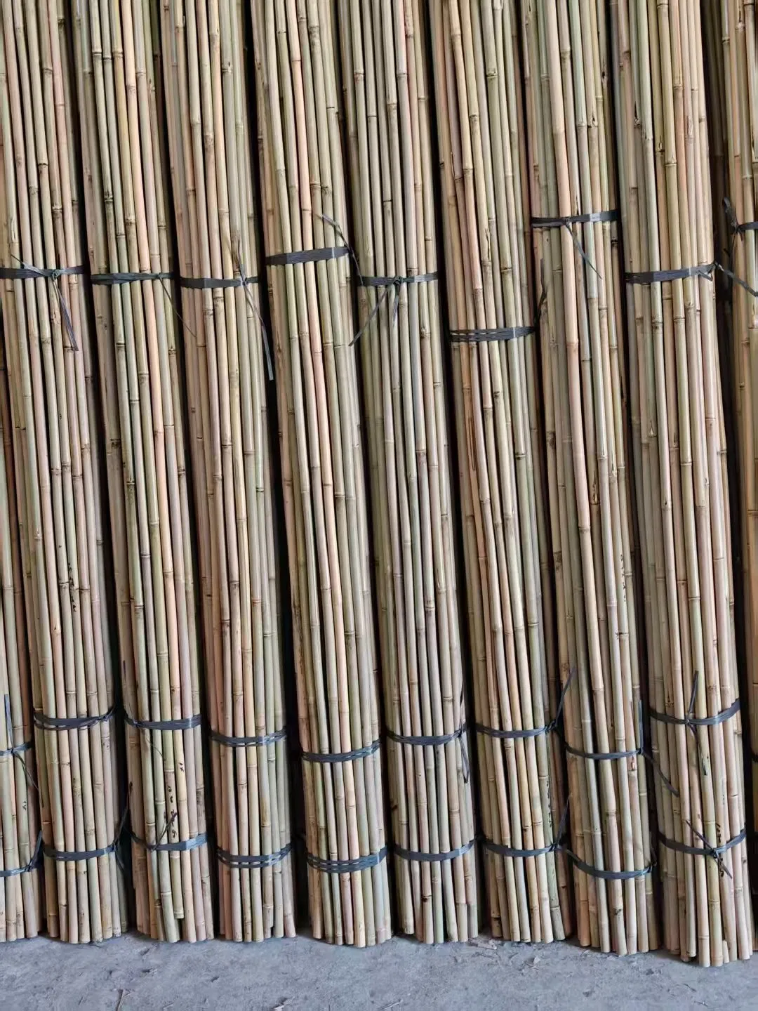 High Quality Nature Bamboo Cane Stake Dia. 35-40mm X 300cm for Plants Grow and Decorative