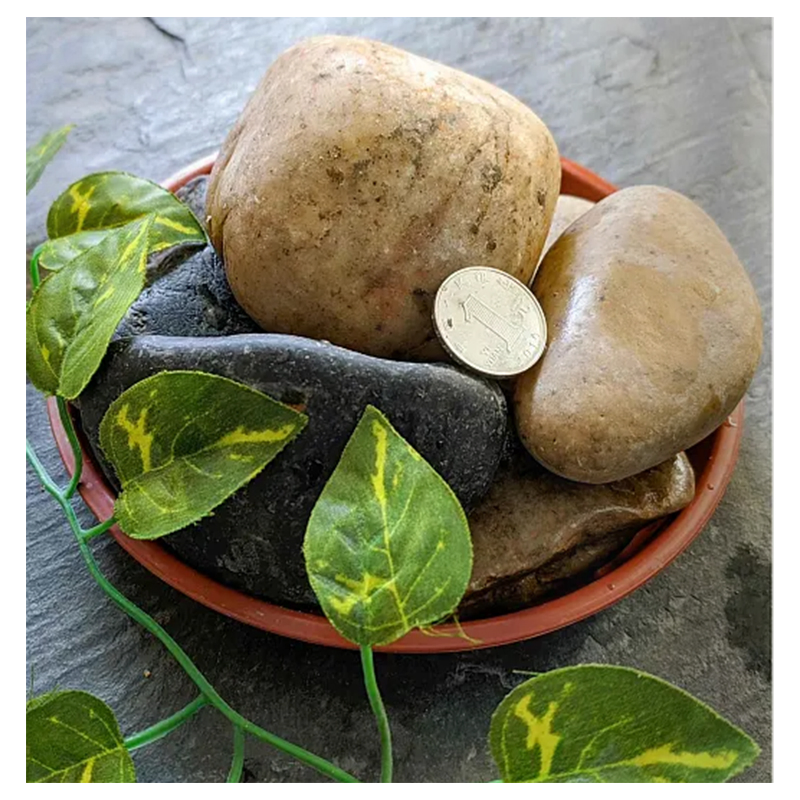 Mixed Color Non-Polished Decoration of Garden and Villa Road Pebble Ball Stone