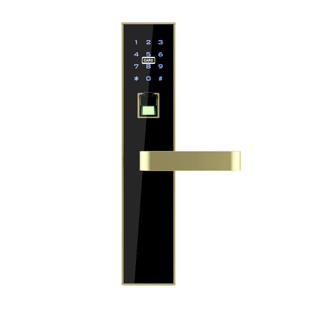 Hanse RFID Hotel Keypad Space Aluminum Electronic Door Lock Smart