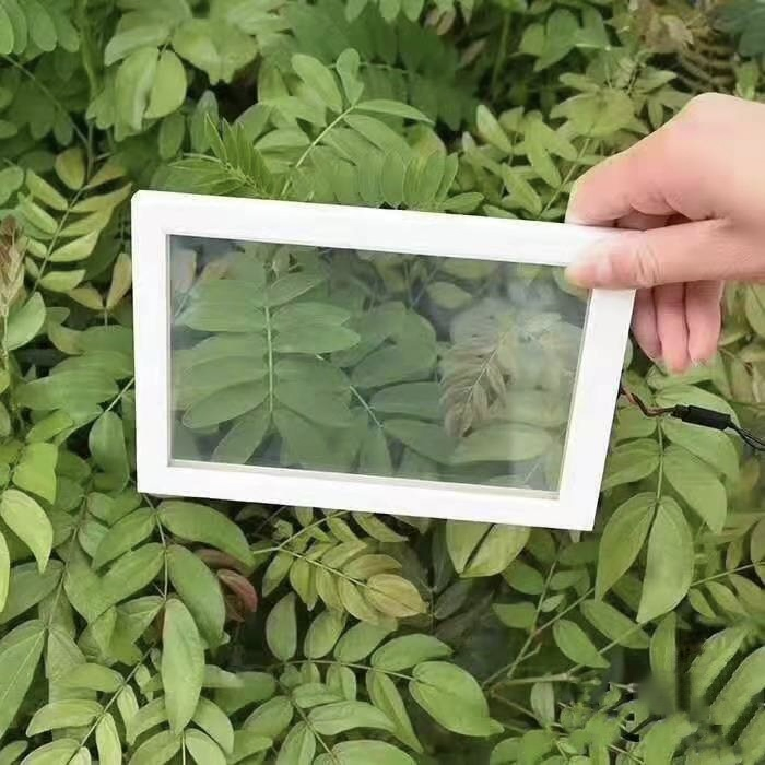 Electronic Control Intelligent Dimming Pdlc Film Triplex Glass Switchable Smart Glass Sample for Testing