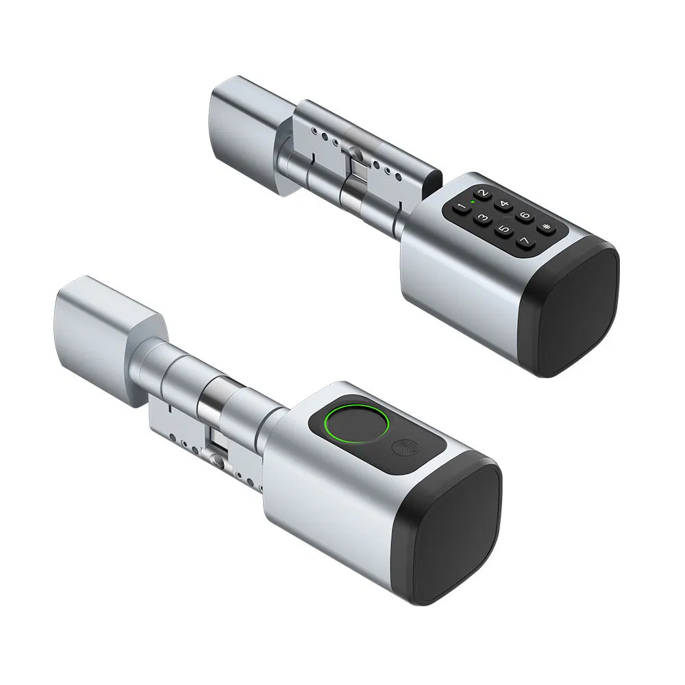 Ready Stock Electronic Lock Core Fingerprint + Code + RFID Card Easy Replacement Without Changing Door Handle