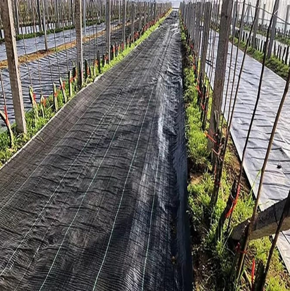 PP PE Black Agricultural Ground Cover Weed Mat for Garden