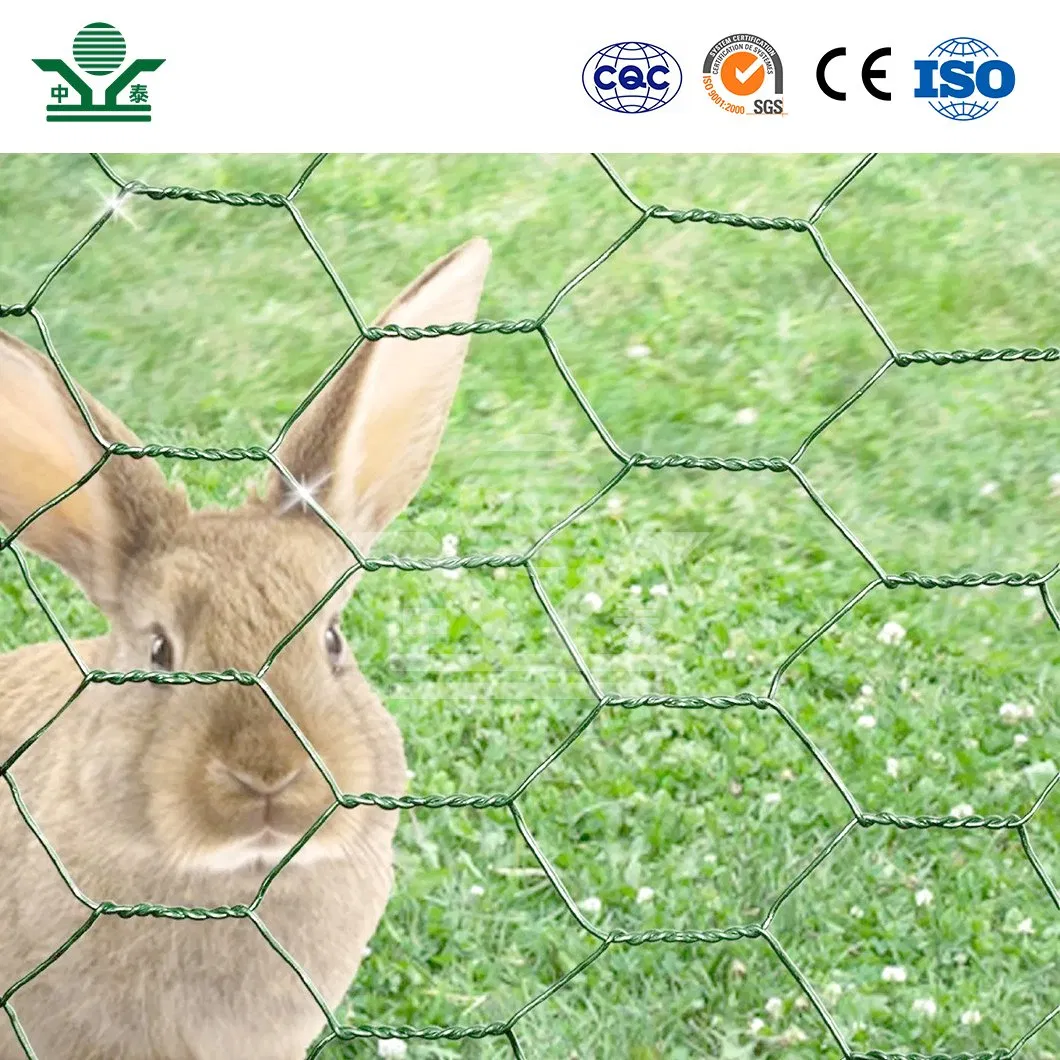 Zhongtai Hex Wire Mesh China Wholesalers 17 16 15 14 Bwg 13mm Chicken Wire Mesh Used for Security Mesh Fencing