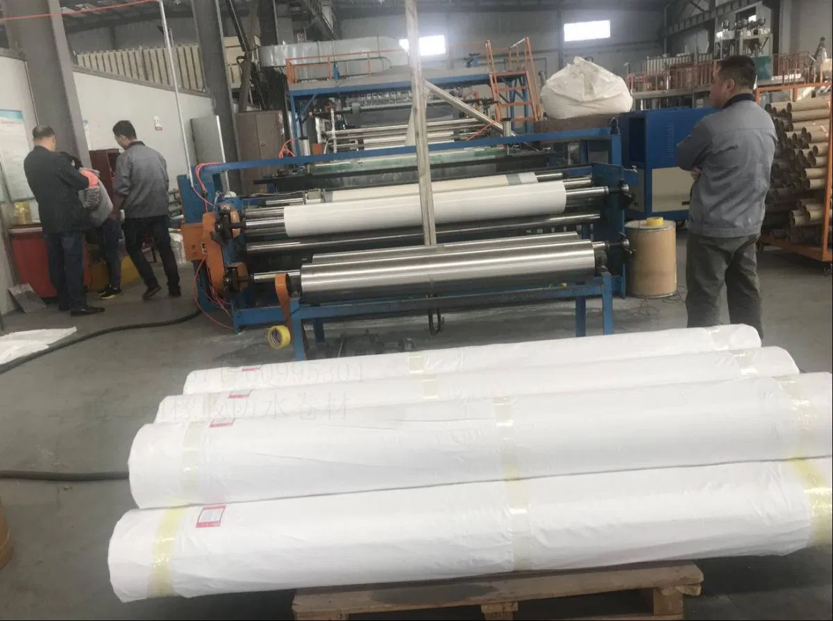 1mm 12 mm EPDM Waterproofing Membrane Geomembrane Dam Landfill Lake Biogas Mining Fish Shrimp Farm Pond Liner Swimming Pool Agricultural Agriculture
