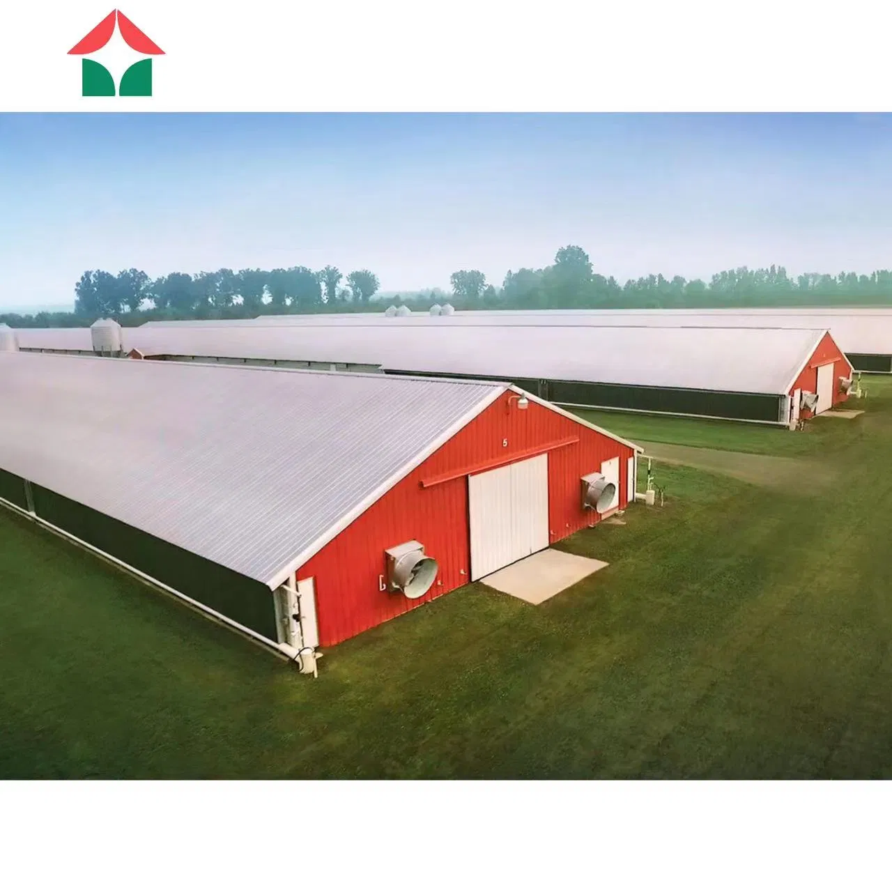 Steel Poultry Farm Shed Design Chicken Breeding House