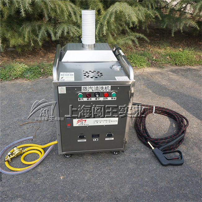 Car Engine Caebon Cleaning Machine High Pressure Car Washer for Engine
