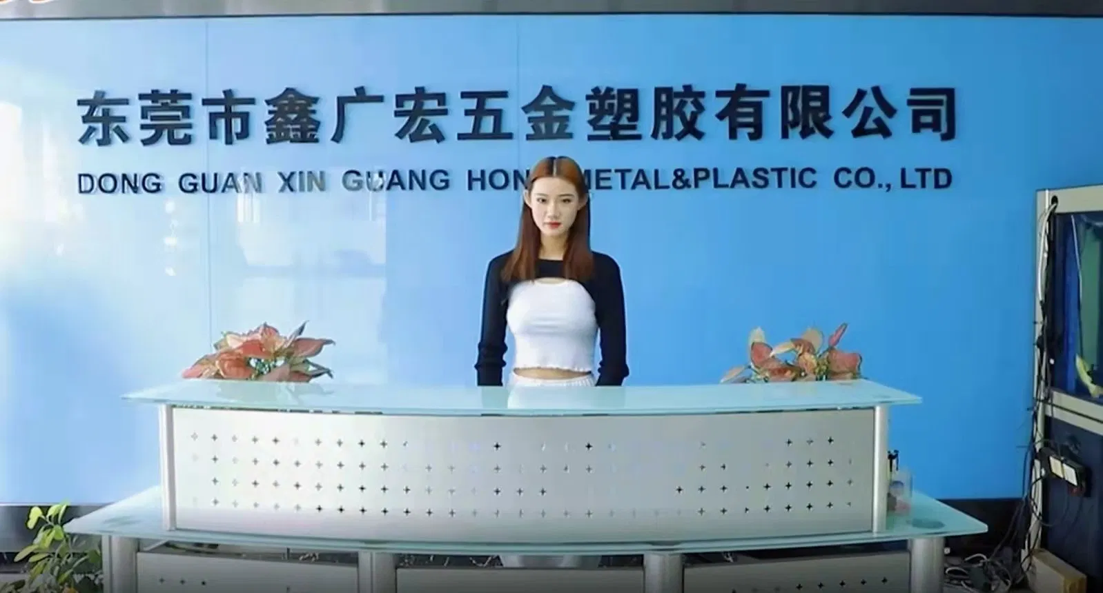 Injection Nylon Plastic Parts Mechanical Polypropylene ABS Polymer Special-Shaped Parts