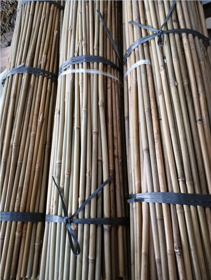 Factory Tonkin Bamboo Cane Garden Stake Moso Natural Artificial Raw Bamboo Poles
