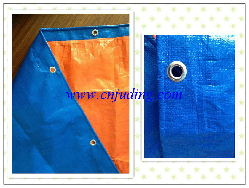 Tarpaulin Manufacturer Standard Quality Affordable Price PE Tarpaulin