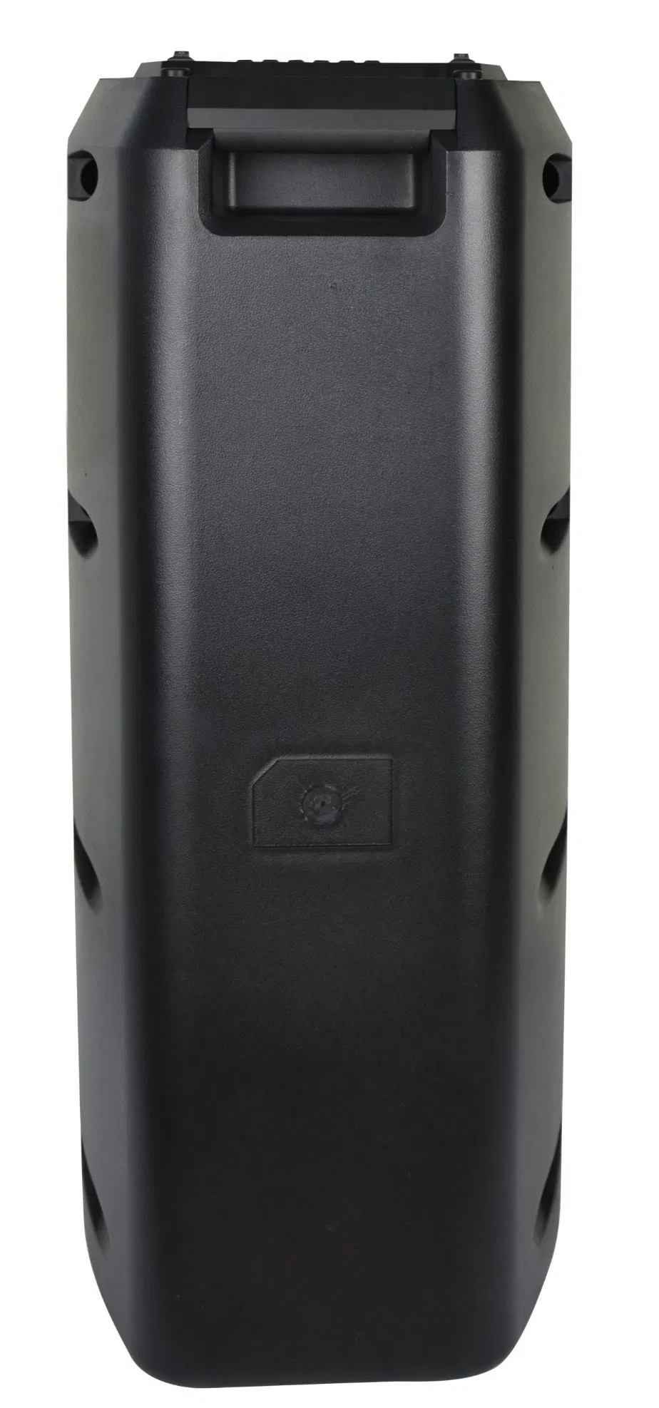 Портативная колонка с микрофоном EDEN ED-608 для караоке и DJ