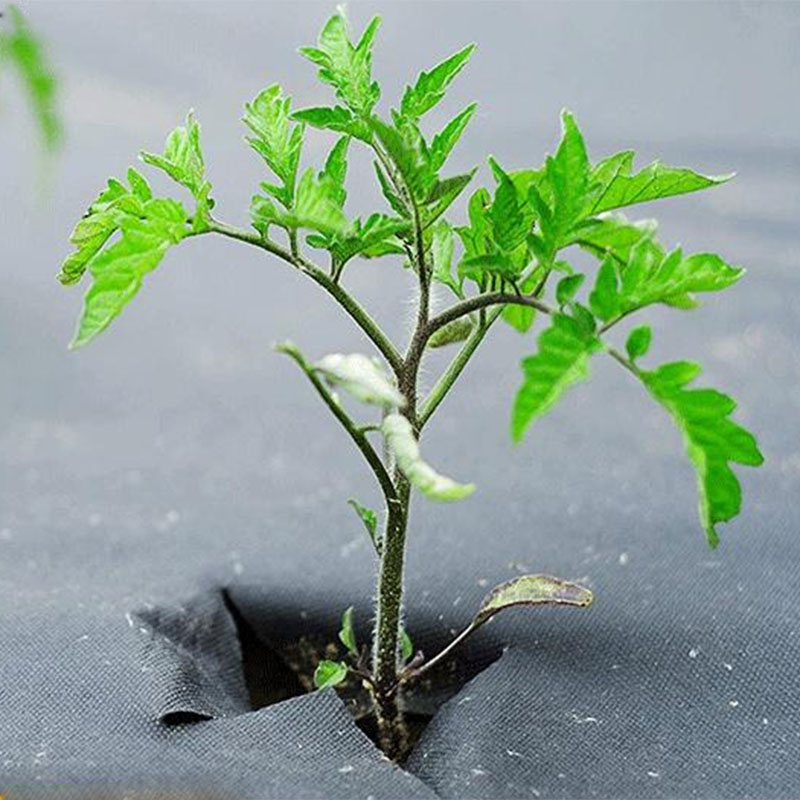 High-Strength Breathable Spunbond Mat for Plant Beds