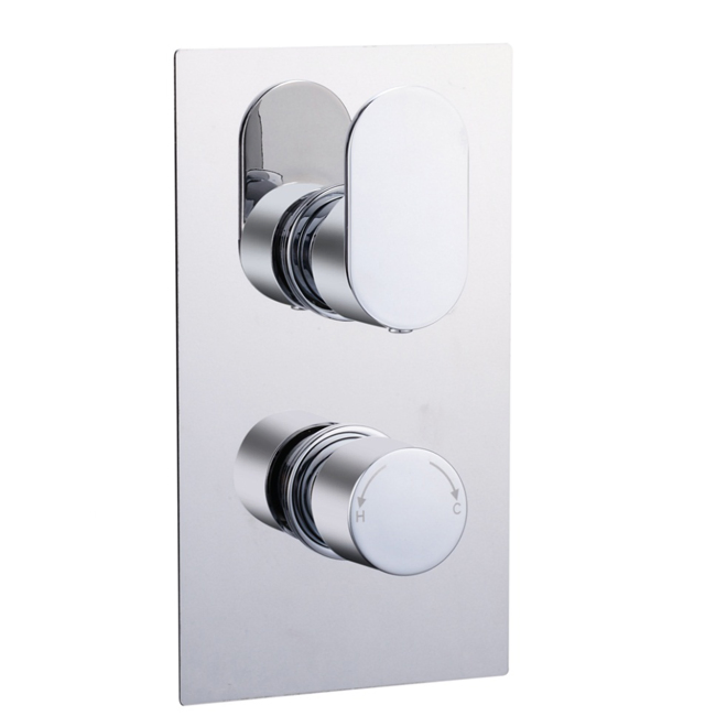 The Contracted Simple Design of Brass Polished Mounted Thermostatic Shower