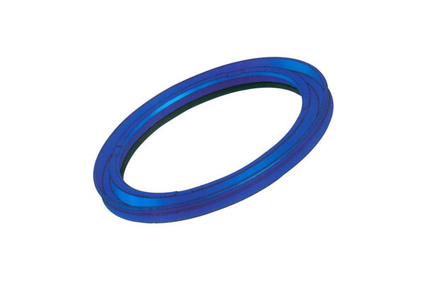 Hot Selling Hydraulic Seals Cushion Seal with Retaining Ring