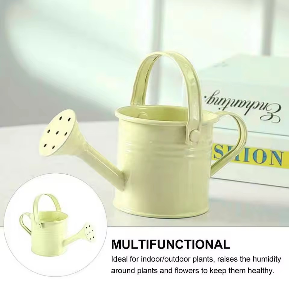 Metal Watering Can Garden Flower Kettle Mini Small Water Spraying Pot Sprinkler with Large Capacity for Kids Adult