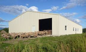 Prefabricated /Prefab Steel Frame Animal Poultry Farm Sheep Goat Storage Metal Shed