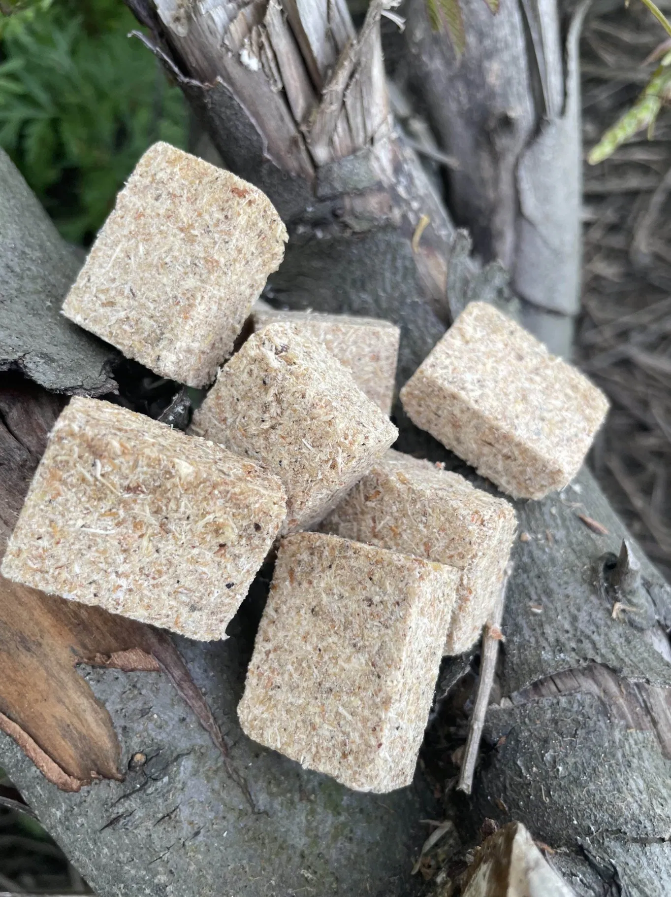 100-Piece Solid Fuel Starter Cubes for Backyard Barbecues