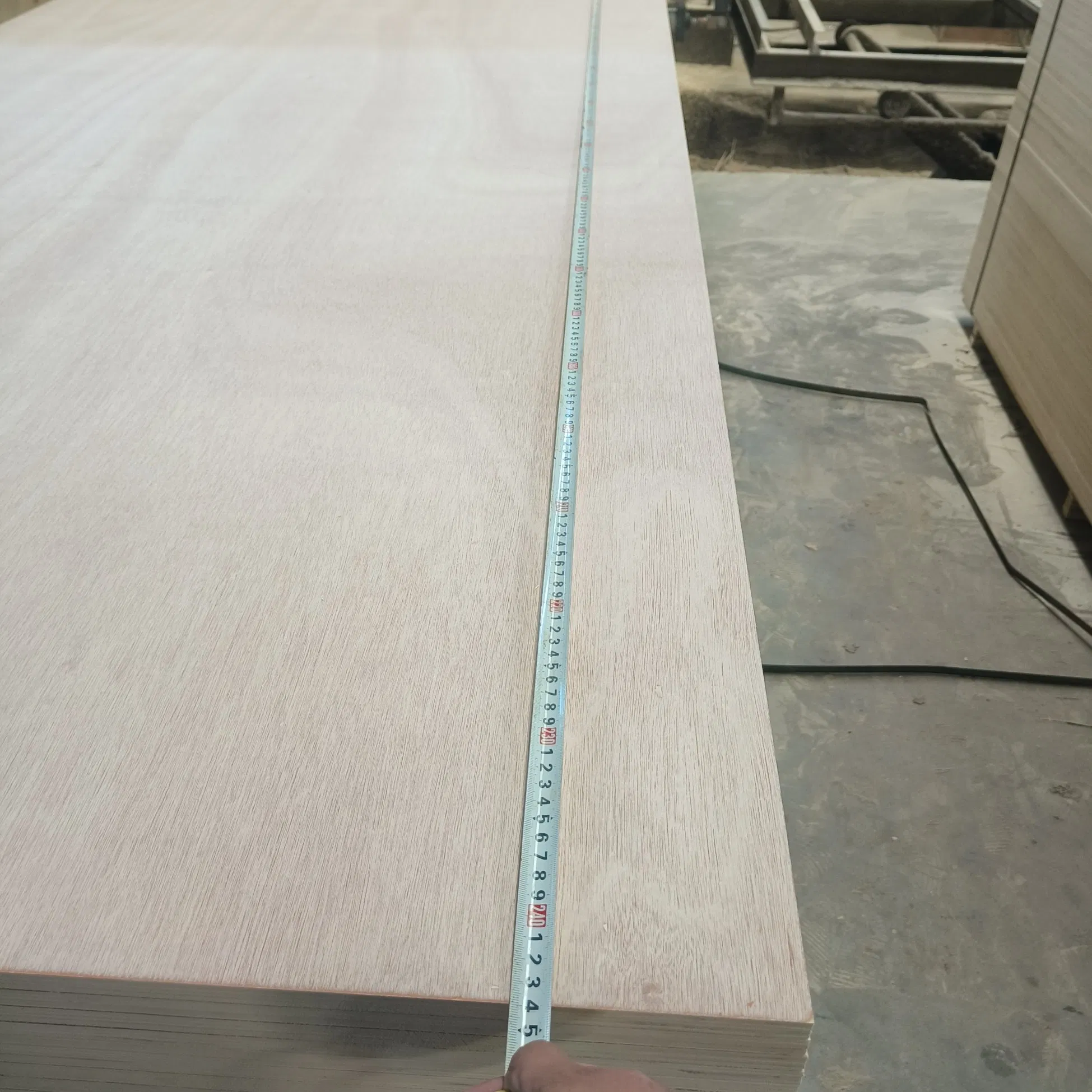 New Design Good Quality Commercial Marine Construction Plywood Shuttering Film Face Plywood Eucalyptus Core 15 Times for Building Materials