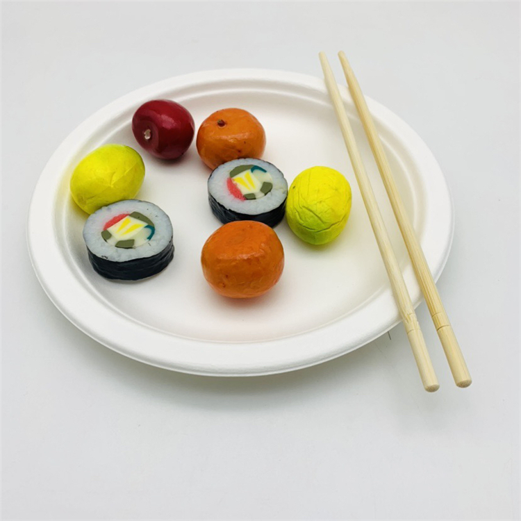 Disposable Bagasse Plates with Chopstick for Restaurant