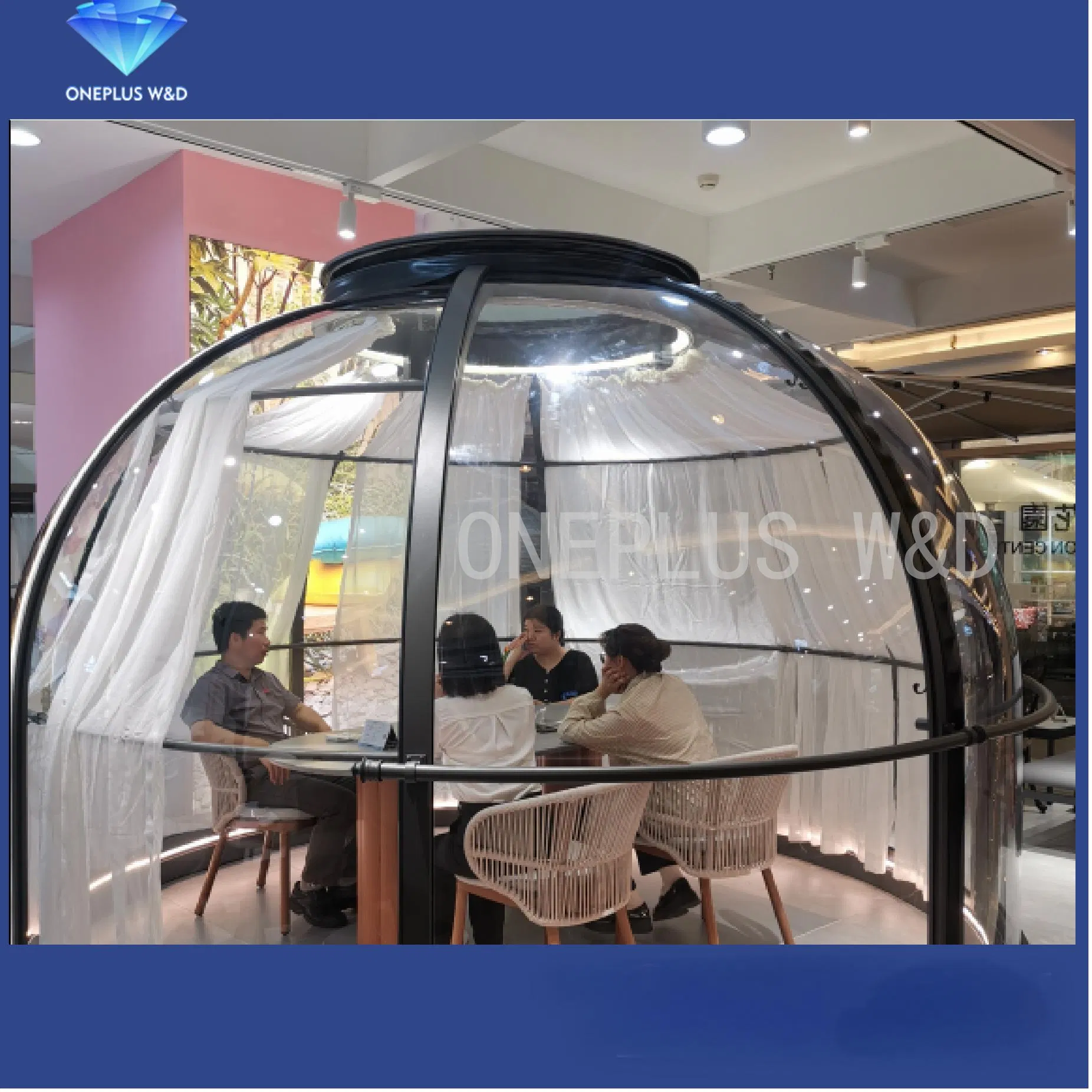 Smart Star Room Leisure Polycarbonate Dome Tent Hotel Transparent Prefab Oval Dome House