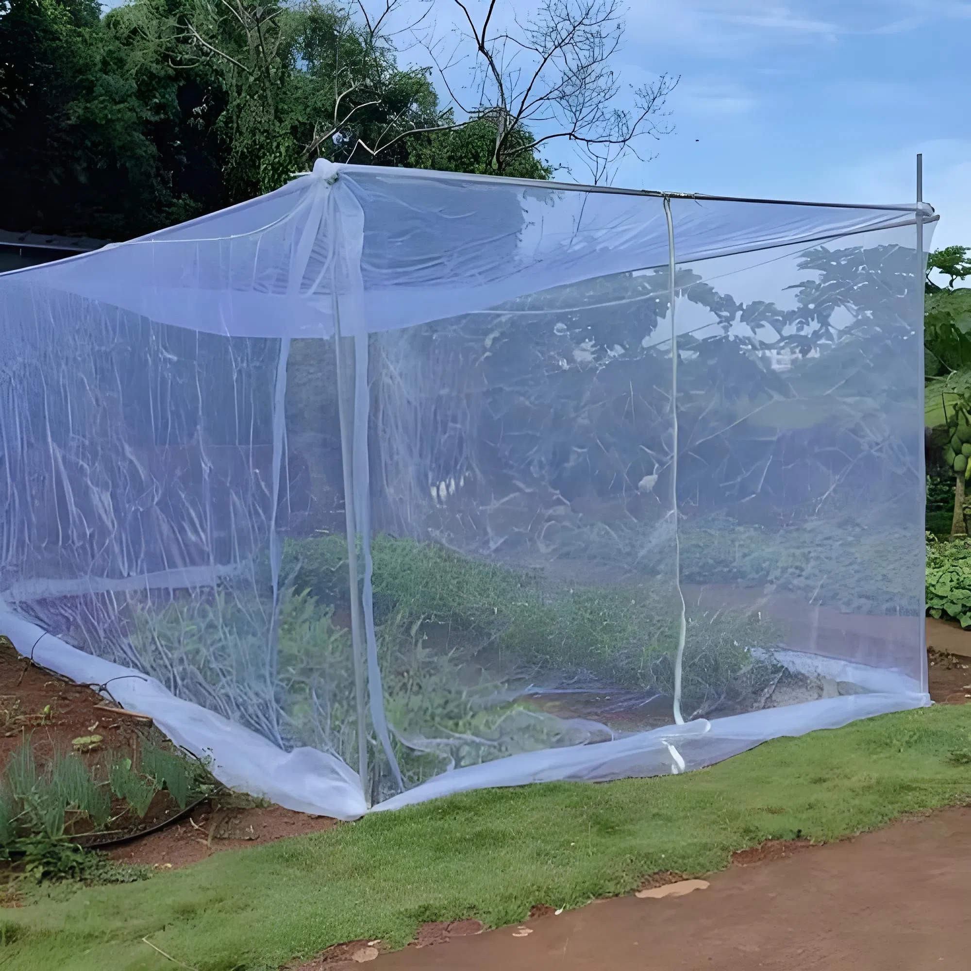 100% Polyester Who Approved & Recommended Deltamethrin or Permethrin Impregnated Mosquito Net