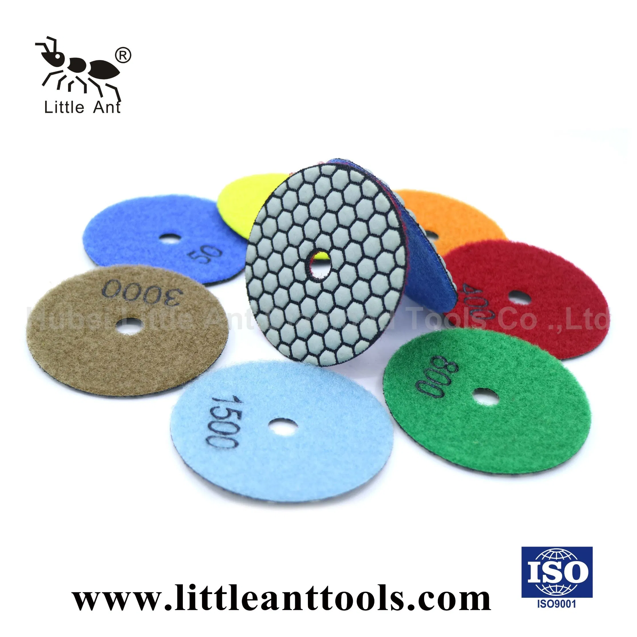 Diamond Tool of Dry Polishing Pads