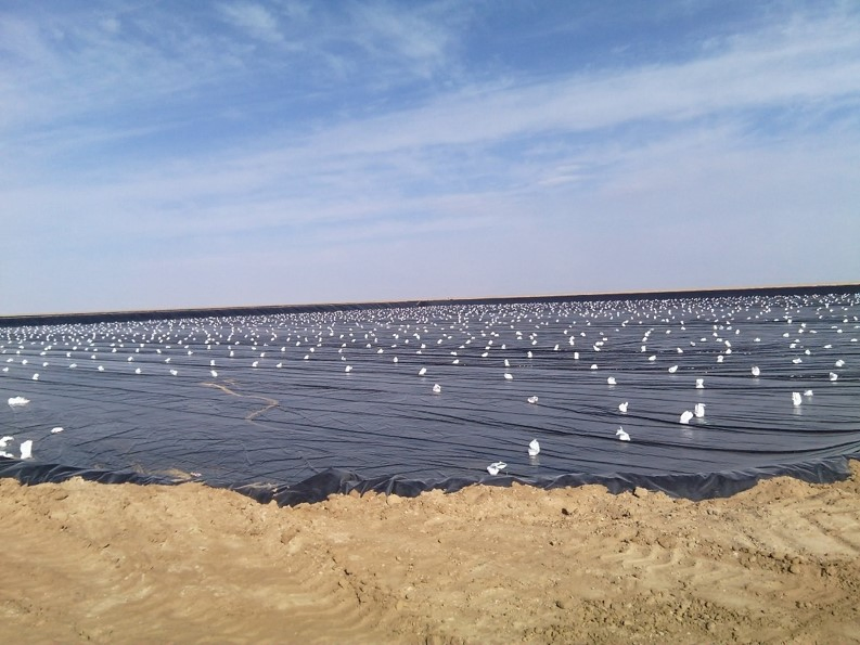 Hydraulic Projects Geotechnical Projects Environmental Projects CE ISO Certified Jinghe China Engineering Material Waterstop Belt