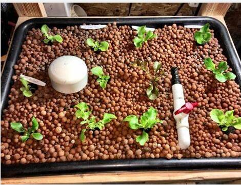 8-12mm Hydroponic Growth Media Expanded Clay Balls Clay Pebbles Leca