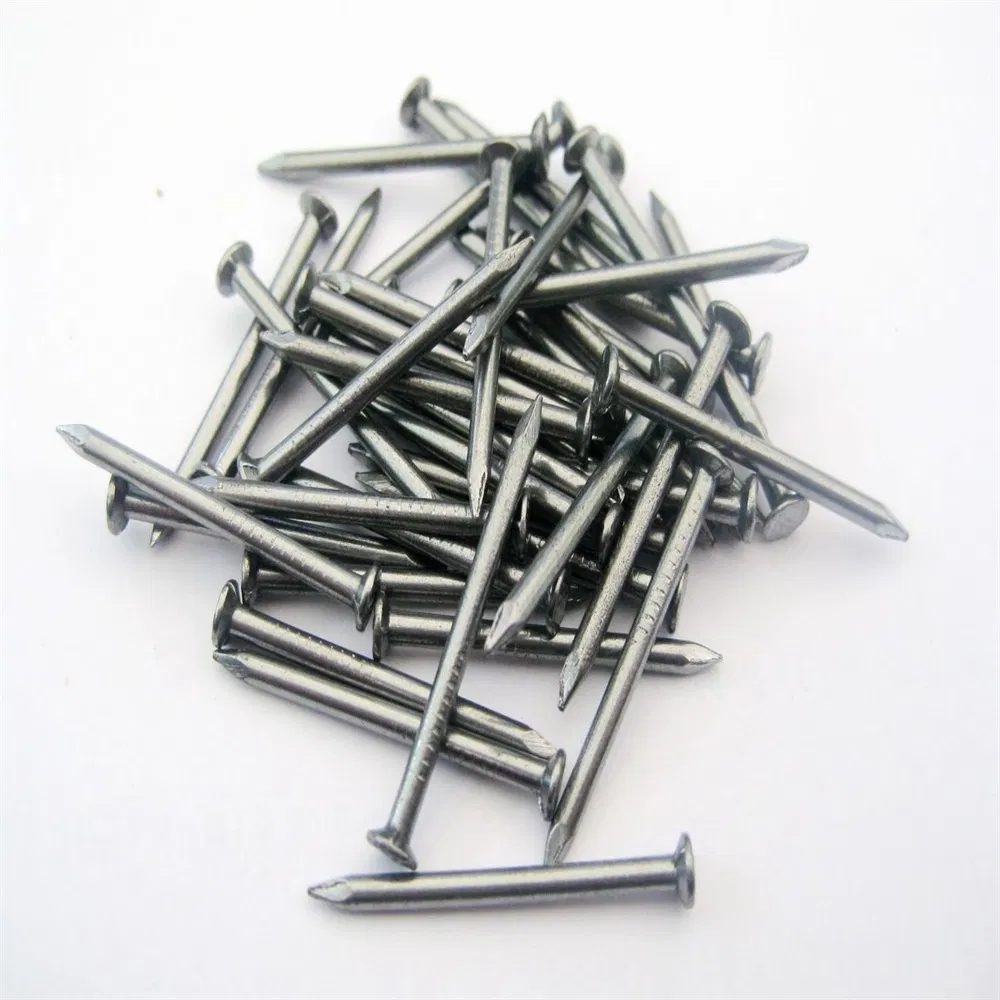 Durable Stainless Steel and Carbon Steel Nail Assortment