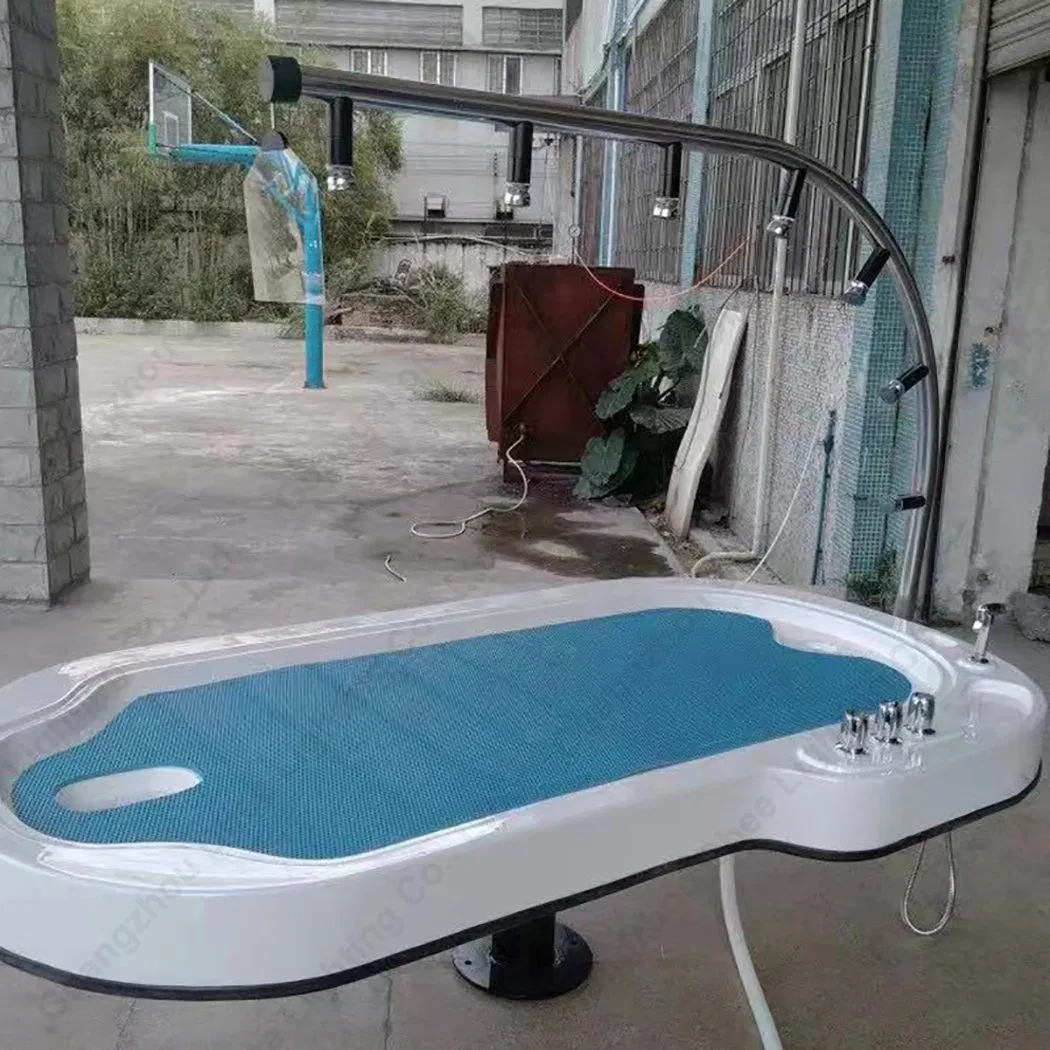 Гидромассажная кровать SPA Vichys Shower Bed
