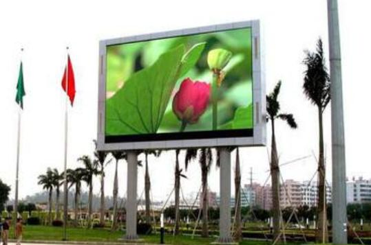 500mm * 1000mm Market Fws Freight Cabinet Case Full-Color Screen LED Display