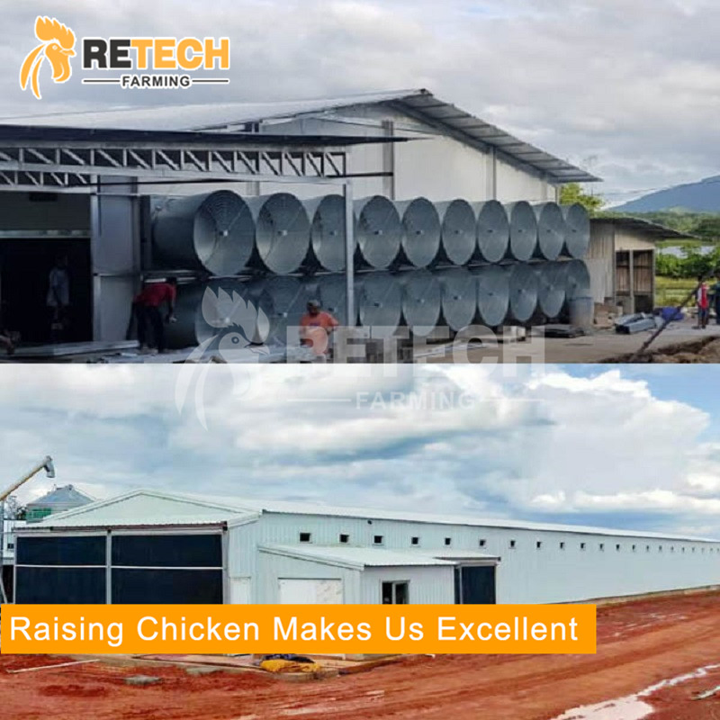 High quality light steel structure commercial poultry house farms for 20000 chickens