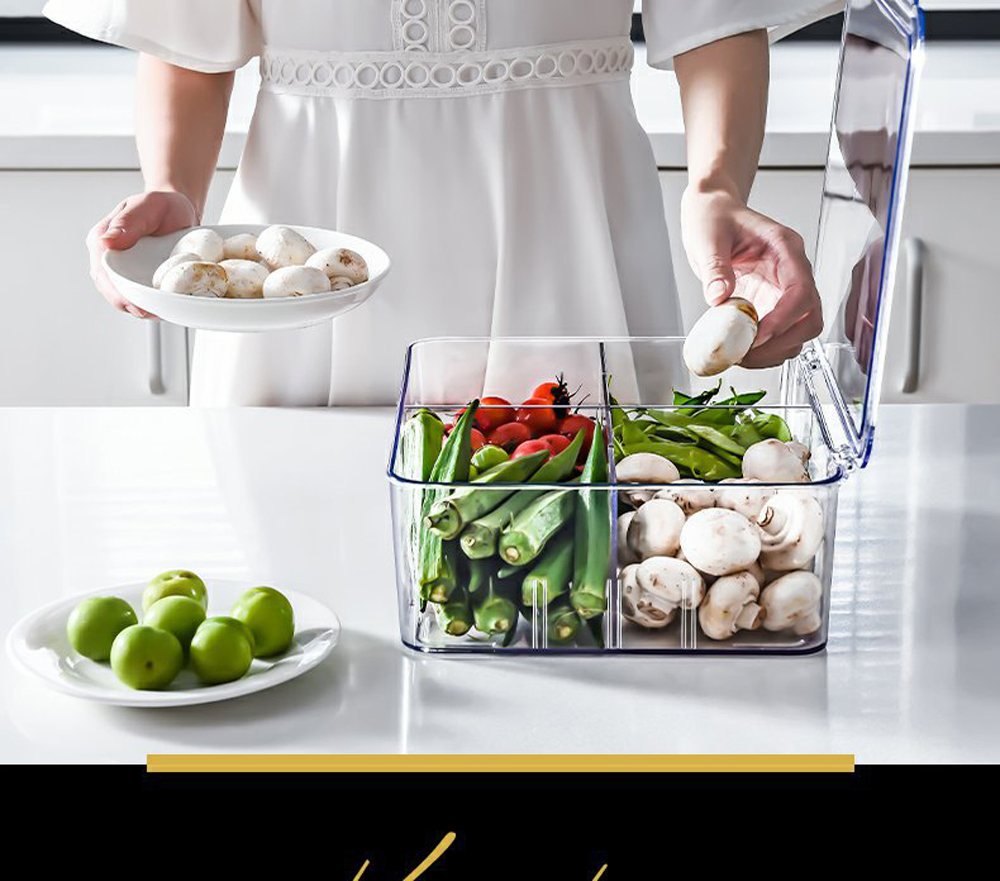 Kitchen Pet Transparent Compartment Refrigerator Storage Box Fresh-Keeping Box