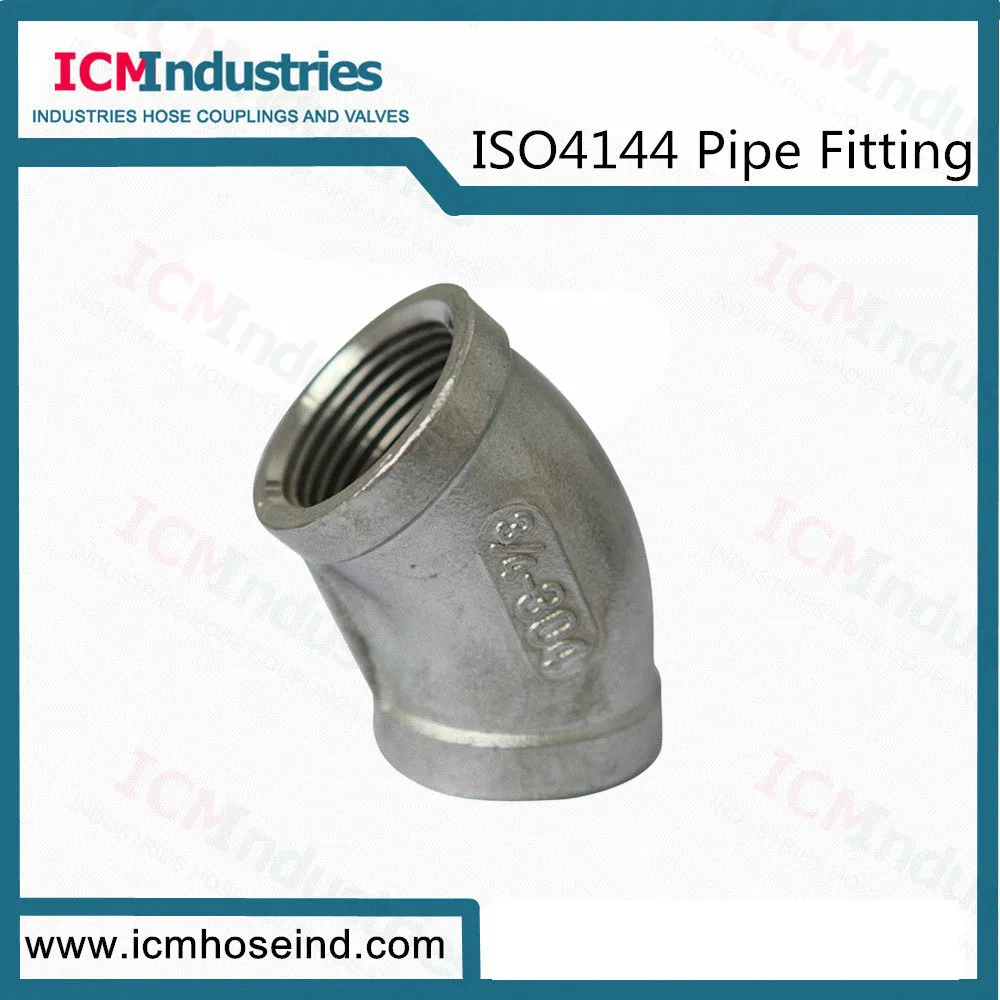 Stainless Steel Hex Bushing Threaded Fittings/ISO 4144 Pipe Fitting