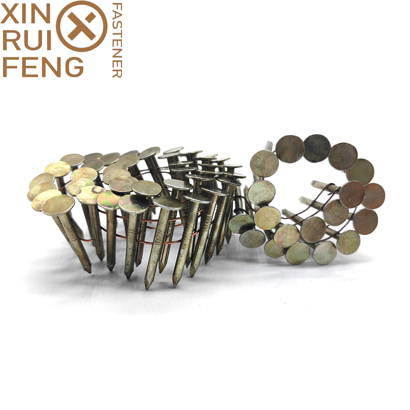 Best Quality 15 Deg Wire Coil Nail Smooth Shank HDG or Eg Coil Nails