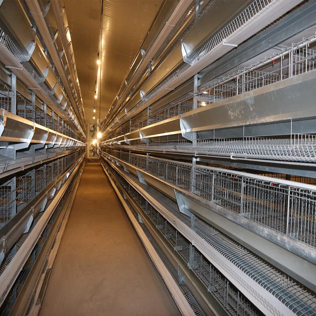 Galvanized Poultry Steel Frame Structure Chicken Farm House