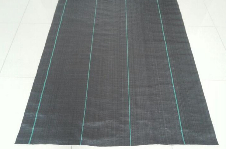 Ground Cover Weed Control Mat Anti Grass Mat Black with Green Line 100GSM