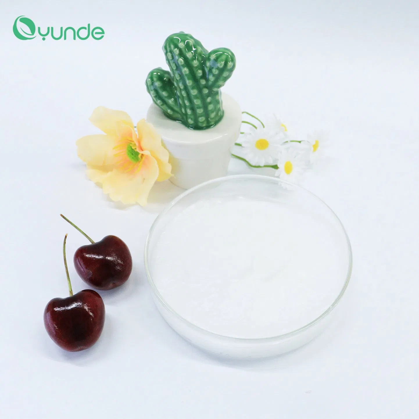 Plant Extract Ingredients, Black Truffle Moisturizing Conditioner
