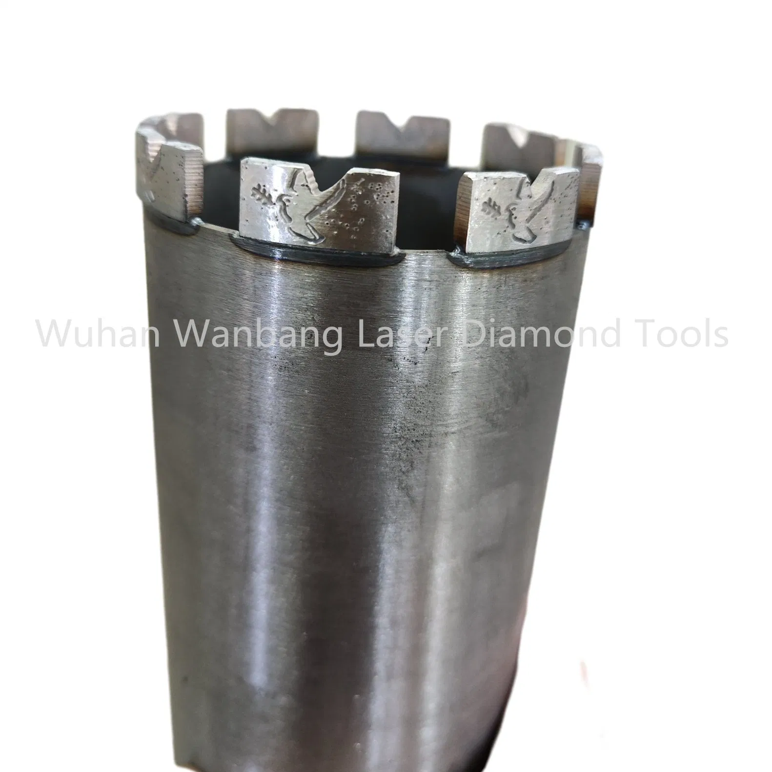 Heavy-Duty Concrete Diamond Drilling Bit with Innovative Bird Segments